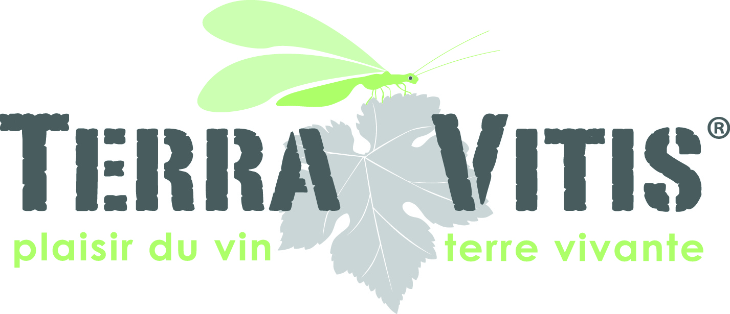 Gloeckler-Brenner Logo Terra Vitis